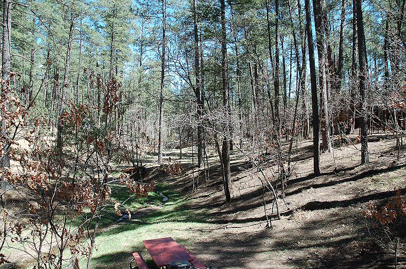The creek behind our cabinJPG.JPG